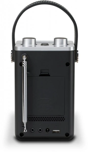 Roberts BluTune T2 Holz – Bild 4